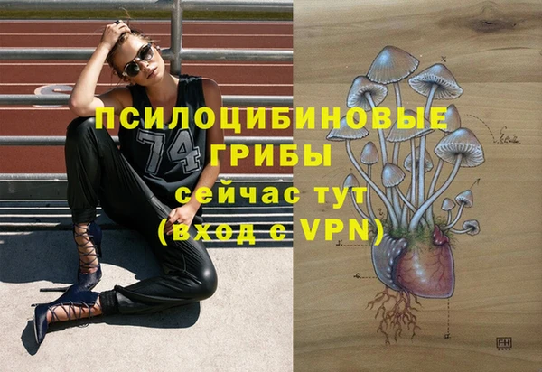 МДПВ Абдулино